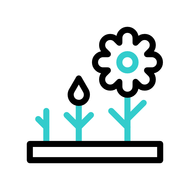 Landscape Garden Park